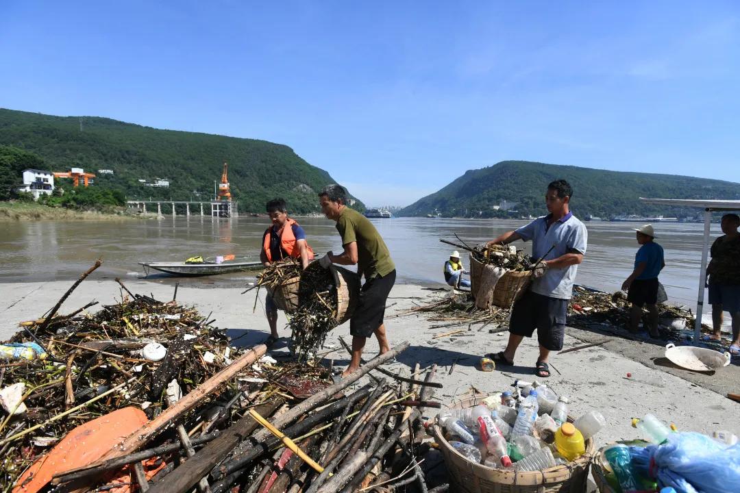熊猫捕鱼 @熊猫守护者的海底奇遇